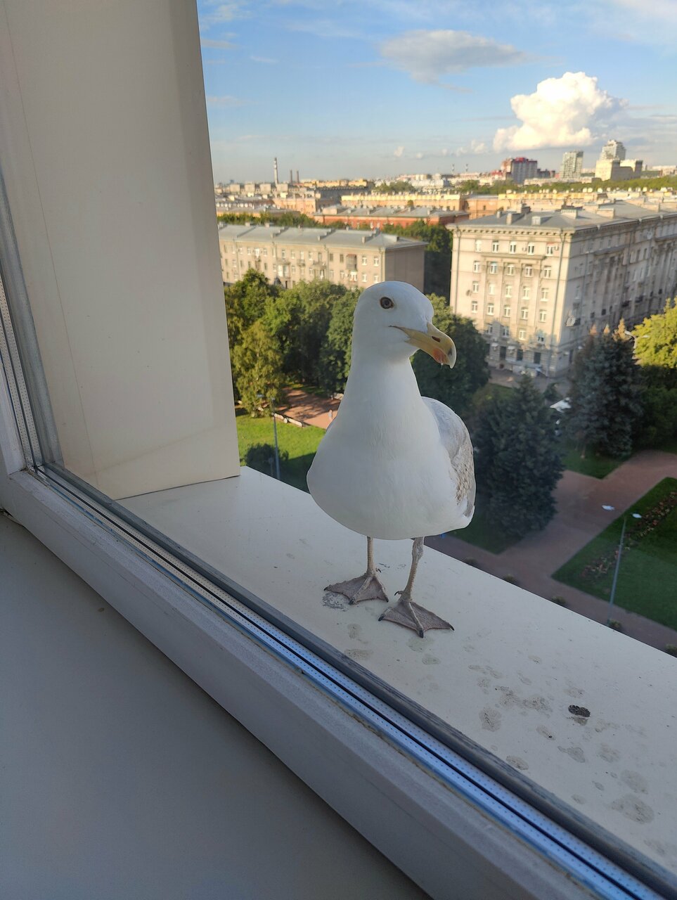 Гостиница Россия Санкт-Петербург-208