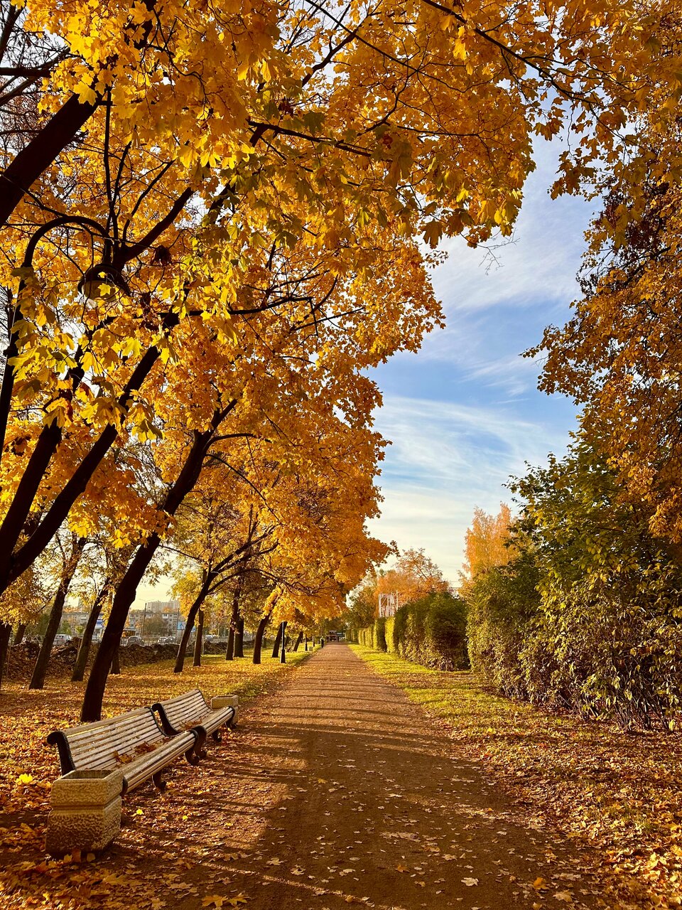 Гостиница Россия Санкт-Петербург-244