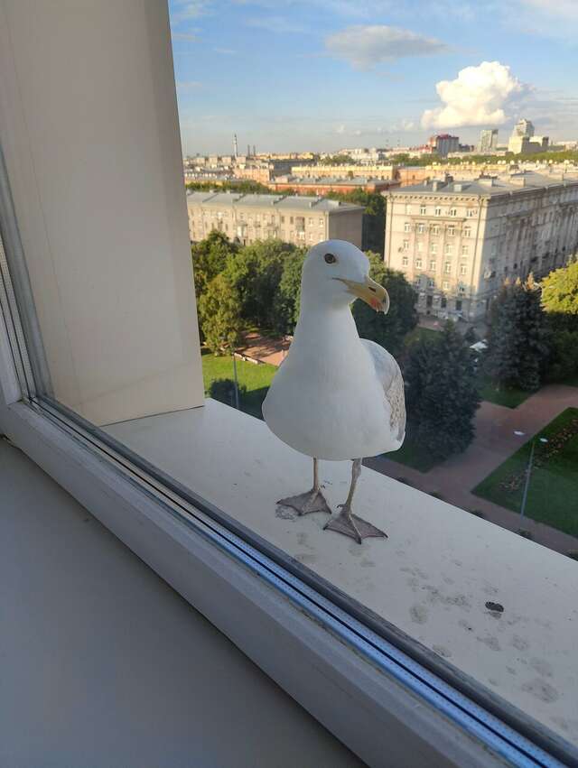 Гостиница Россия Санкт-Петербург-207