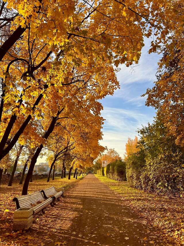 Гостиница Россия Санкт-Петербург-243