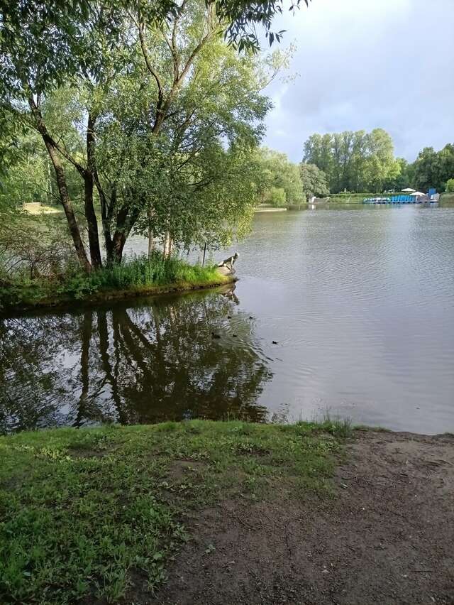 Гостиница Россия Санкт-Петербург-233